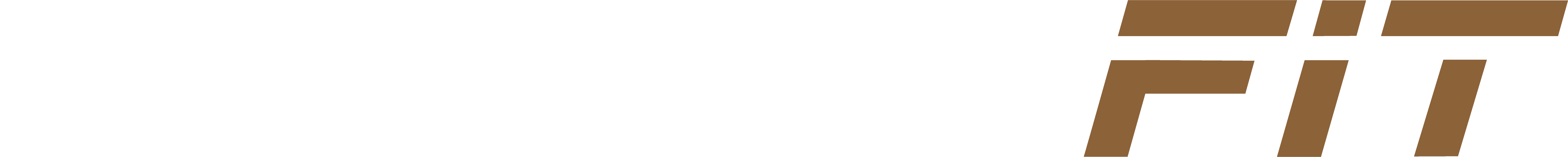 STEEZYFIT